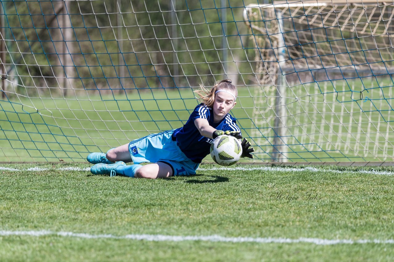 Bild 129 - wBJ Hamburger SV - WfL Wolfsburg : Ergebnis: 2:1